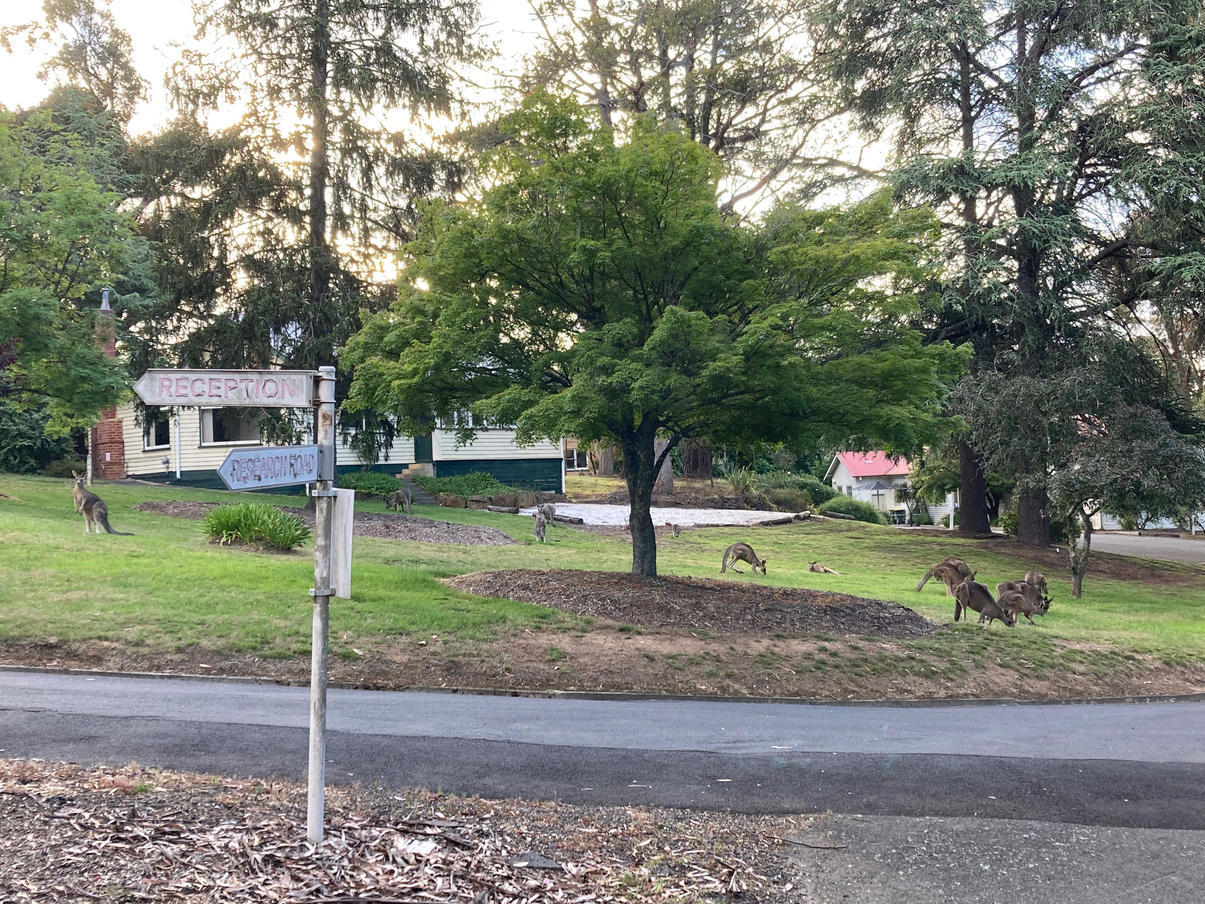 Doellnsee Schorfheide