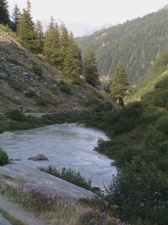 When clicked, Show still image