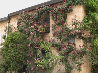 When clicked, Show still image