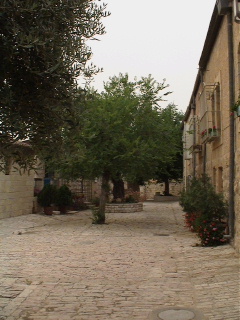 When clicked, Show still image