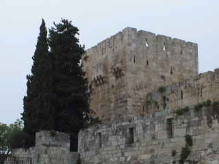 When clicked, Show still image