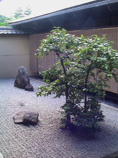 When clicked, Show still image