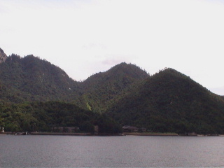 When clicked, Show still image