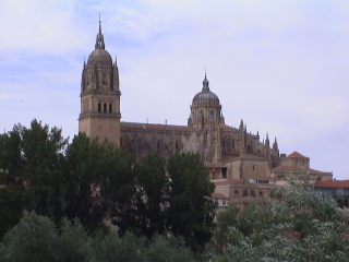 When clicked, Show still image