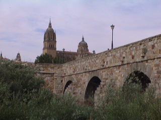 When clicked, Show still image