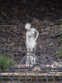 When clicked, Show still image