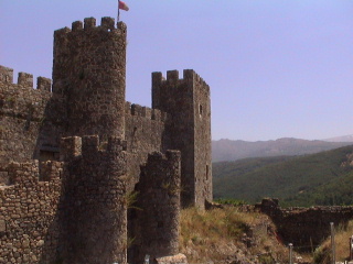 When clicked, Show still image