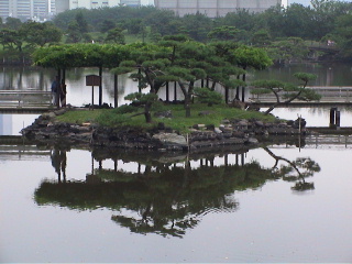 When clicked, Show still image