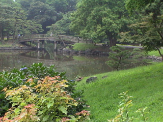 When clicked, Show still image