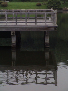 When clicked, Show still image