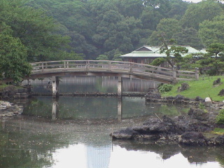 When clicked, Show still image