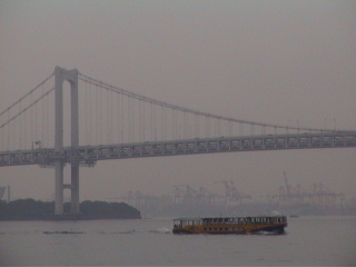 When clicked, Show still image