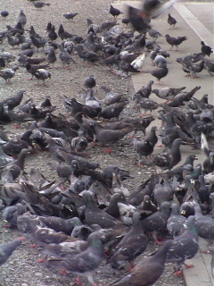 When clicked, Show still image