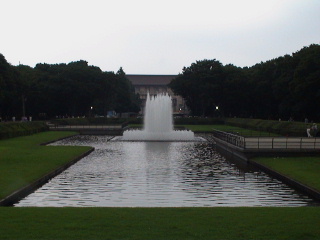 When clicked, Show still image