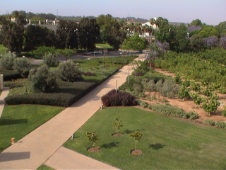 When clicked, Show still image