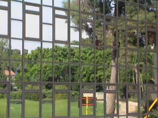 When clicked, Show still image