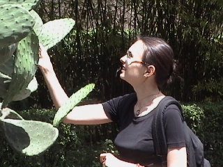 When clicked, Show still image