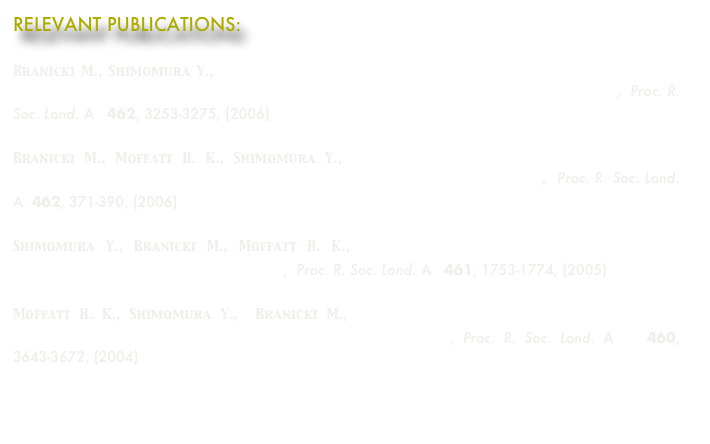 RELEVANT PUBLICATIONS:

Branicki M., Shimomura Y., Dynamics of an axisymmetric body spinning on a horizontal surface. IV. Stability of steady spin states and the ‘rising egg' phenomenon for convex axisymmetric bodies,  Proc. R. Soc. Lond. A   462, 3253-3275, (2006) Branicki M., Moffatt H. K., Shimomura Y.,  Dynamics of an axisymmetric body spinning on a horizontal surface. III. Geometry of steady states for a general axisymmetric body,  Proc. R. Soc. Lond. A  462, 371-390, (2006) Shimomura Y., Branicki M., Moffatt H. K., Dynamics of an axisymmetric body spinning on a horizontal surface. II. Self-induced jumping,  Proc. R. Soc. Lond. A   461, 1753-1774, (2005) Moffatt H. K., Shimomura Y.,  Branicki M.,  Dynamics of an axisymmetric body spinning on a horizontal surface. I. Stability and the gyroscopic approximation, Proc. R. Soc. Lond. A   460, 3643-3672, (2004)