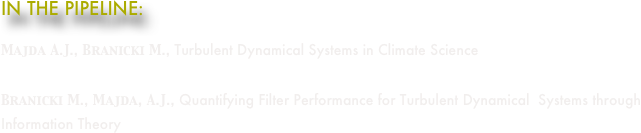 IN THE PIPELINE:
Majda A.J., Branicki M., Turbulent Dynamical Systems in Climate Science
Branicki M., Majda, A.J., Quantifying Filter Performance for Turbulent Dynamical  Systems through Information Theory